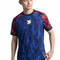 Japan Heritage Jersey